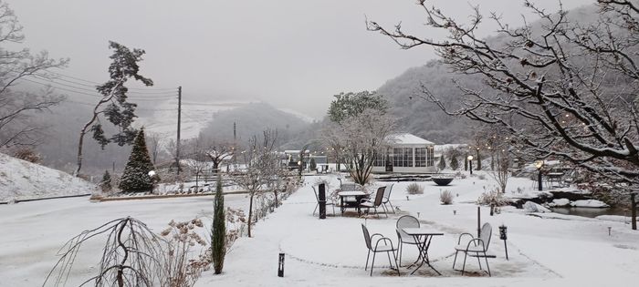 Cafe Orphee 매장 사진