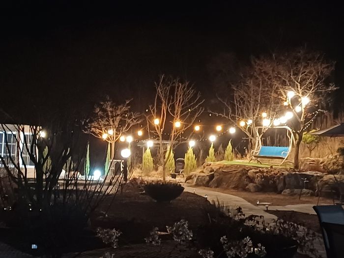 Cafe Orphee 매장 사진